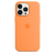 Silicone Case Original With MagSafe and Splash Screen Apple iPhone 13 Pro