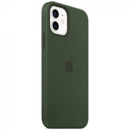Silicone Case Original With MagSafe and Splash Screen Apple iPhone 12 / 12 Pro