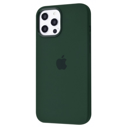 Silicone Case Original With MagSafe and Splash Screen Apple iPhone 12 Pro Max